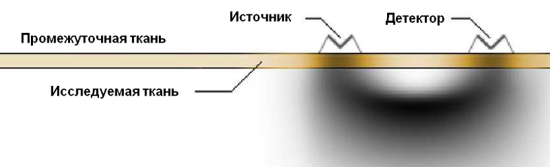 Условное изображение прохождения фотонов через исследуемую ткань от источника света до детектора